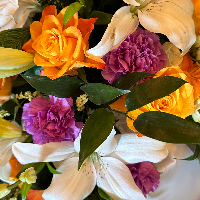 Agnar Petter Johansen